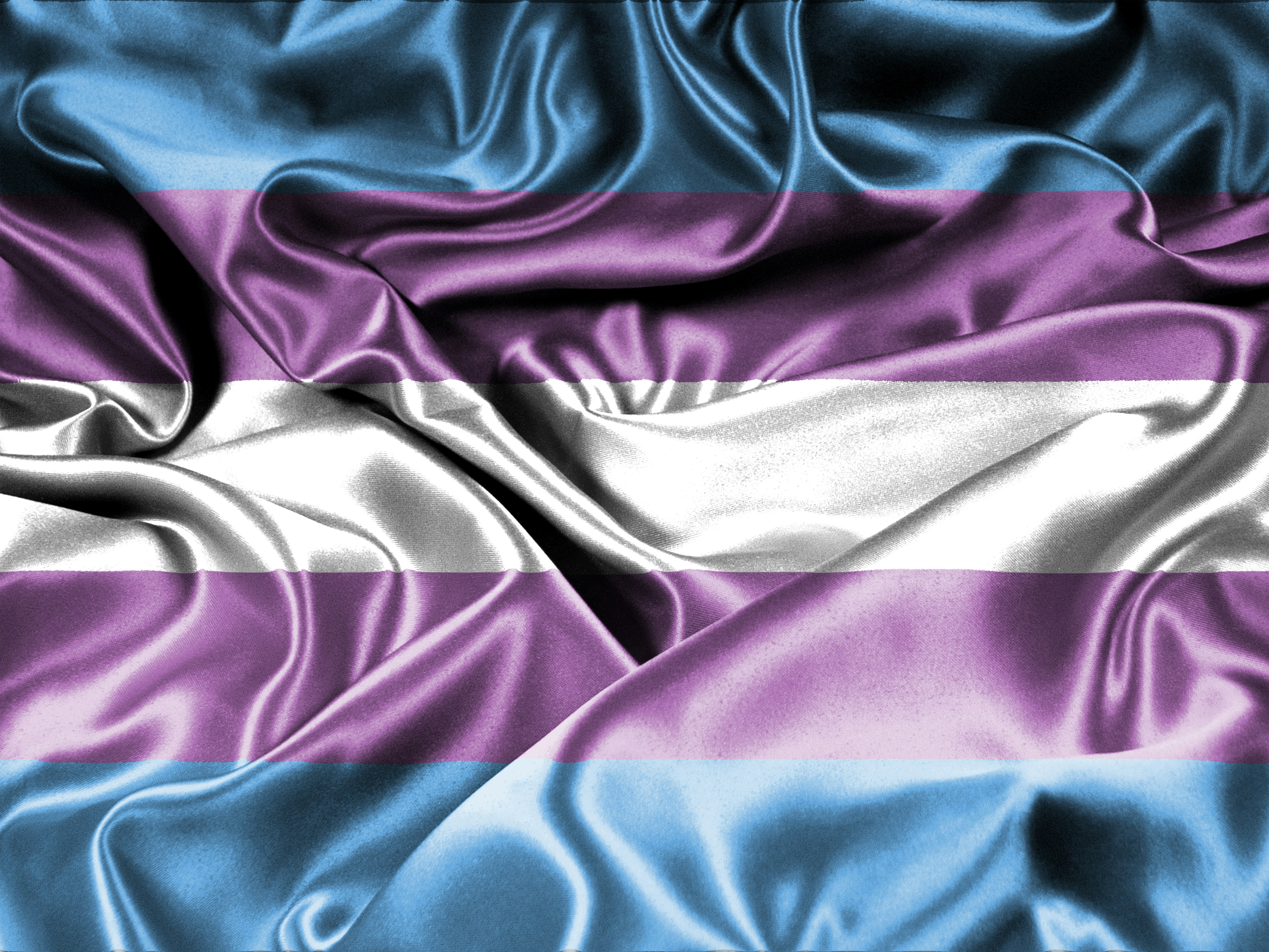 Transgender Flag 2
